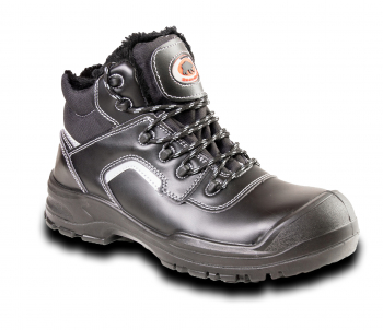 BEARFIELD TRZEWIK OCIEPLANY R02 LICO